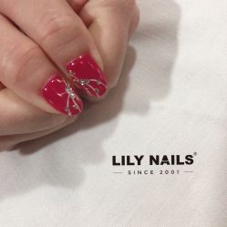 -LILY NAILS美甲美睫