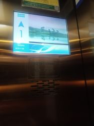 -Xmm小蜜密私密健康抗衰连锁品牌