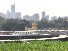 -荔枝公园(福田区)
