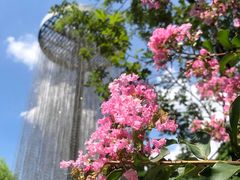 -广东花都湖国家湿地公园