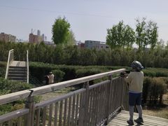 -亲兄弟真人CS团建拓展基地