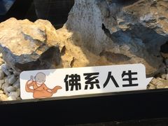 -禅驿嘉定院子-禅欢江景餐厅·中餐·户外烧烤定制(乐山大佛店)