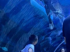 -华夏文旅西安度假区