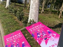 -长广溪湿地公园
