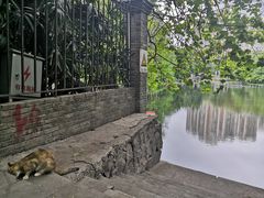 -荔湾湖公园