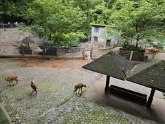-杭州动物园