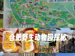 -合肥野生动物园