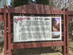 -元大都城垣遗址公园