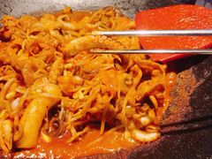 -红辣椒八爪鱼特色韩国料理