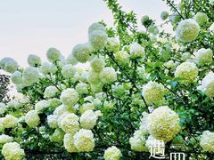 -堤角公园