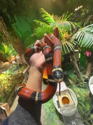 -酷嗒动物文化乐园(cutezoo西溪乐天城店)