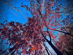 -玉渡山自然风景区
