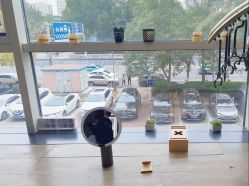 -韩国李知恩形象设计