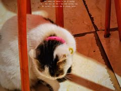 -高庙村(地铁站)