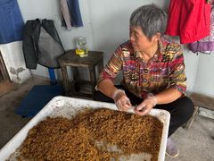 -苏州市吴中区光福窑上花果蜜饯厂