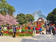 -南山植物园