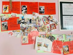 -Husky Go! 哈士奇体验馆·宠物咖啡厅狗咖