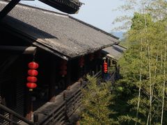 -大唐贡茶院
