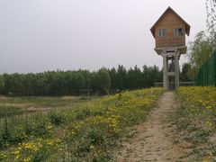-东郊湿地公园