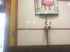 -多克多蒸气茶DOKDO(鼓楼绿地店)