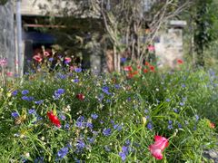 -松赞拉萨林卡酒店