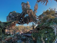 -奥兰多迪士尼动物王国乐园