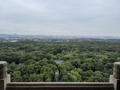 -灵谷景区