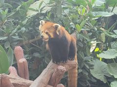 -长鹿旅游休博园