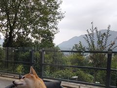 -杭州桐庐康莱德酒店西餐厅-舍