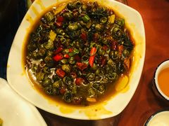 -重庆火锅水库鱼庄(南油店)