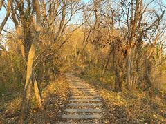 -方山风景区定林寺