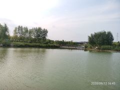 -淇河国家湿地公园