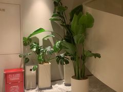 -泰合玺·精油疗愈 SPA(南京河西万达店)