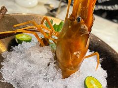 熟醉罗氏虾-人间采蜜(海信广场店)