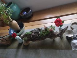 点击看大图 -翎兰瑜伽·普拉提