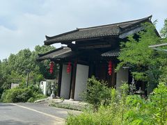 -大唐贡茶院