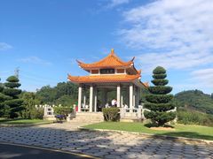 -深圳仙湖植物园