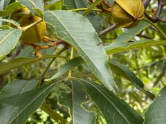-东天目山风景区