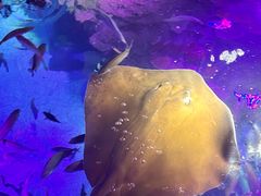 -沈阳海洋探索中心