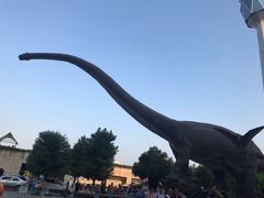 -陕西自然博物馆