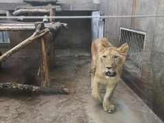 -西安秦岭野生动物园