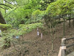 -上海佘山国家森林公园天马山园