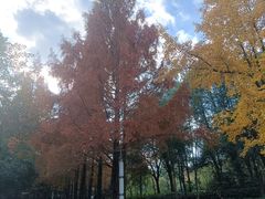 -苏州河梦清园环保主题公园