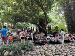 -成都市活水公园