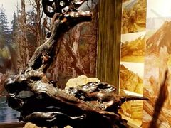 -乐山乌木文化博览苑