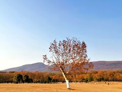 -钟山体育运动公园