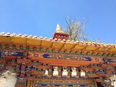 iphone_upload_pic-罗布林卡