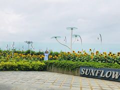 -樟宜机场免税店