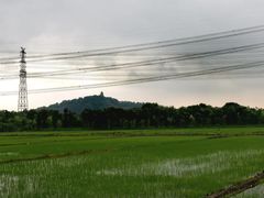 -广富林郊野公园