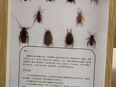 -汕头市博物馆